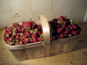Our strawberries