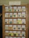 Seeds for sale